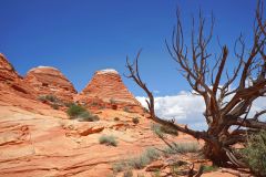 20150823212148DSC06783-Urlaub-USA-Kanab-Wave-Gx0