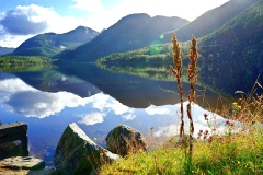 20170814085330DSC07559-Urlaub-Norwegen-Dahlen-