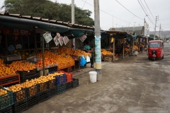 20190816105207-Suedamerika-Orangen-TucTuc