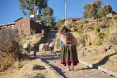 20190827162326-Suedamerika-LLachon-Titcacasee-Einwohner-Schafe