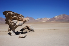 20190903085956-Suedamerika-Hochland-Steinbaum-Berge