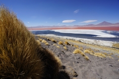 20190903095303-Suedamerika-Hochland-Rote-Lagune