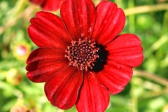 20200820133626-Sommerurlaub-Polen-Krakau