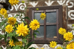 07_Fensterblumen