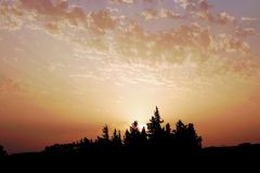 20210812203858-Sommerurlaub-Avignon-Arles