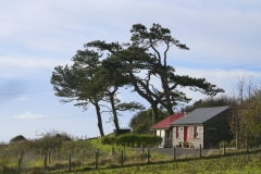 20221103132617__A744290-Wanderung-Aberystwyth-Gx0