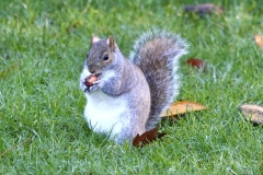 20221104110726__A744431-London-Gx0