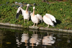 20221104111111__A744440-London-