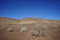 20220808160709_DSC08826-Namibia--Kalahari zum Fish River Canyon-Landschaft