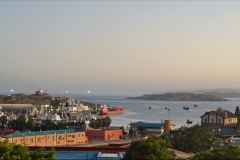 20220811071845_DSC09033Gimp-Namibia--Lüderitz-