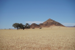 20220811153838_DSC09096-Namibia--Aus nach Tirasberge-Landschaft