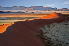 20220812073705_A7401202Gimp4-Namibia--Kanaan Retreat-Morning Drive Düne