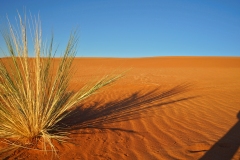 20220812074934_DSC09117-Namibia--Kanaan Retreat-Morning Drive Düne Sonnenaufgang