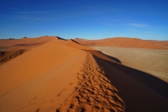 20220814085225_DSC09254Gimp-Namibia--Kulala Lodge-Nature Drive Düne45