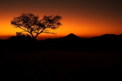 20220817190623_A7401668-Namibia--Ai Aiba Lodge-Sonnenuntergang Baum