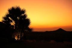 20220818190202_A7401744-Namibia--Ai Aiba Lodge-Sonnenuntergang Palme