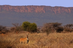 20220825170906_A7403002Gimp