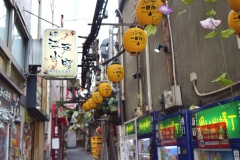 20230813090641__A747907-Sommerurlaub Japan--Tokio-Shinjuku-Gx0