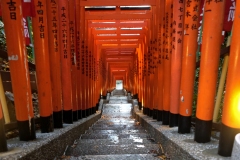 20230813185547__A748127-Sommerurlaub Japan--Tokio-Hie Schrein Tore-Gx0