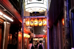 20230821200454__A749390-Sommerurlaub Japan--Osaka-Dotonbori-Gx0