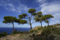 20231030141658__A742078-Mallorca-Sant-Elm-