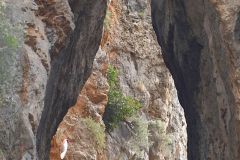 20231031164653__A742590-Rennrad-Martin-Mallorca-SaCalobra-Gx0