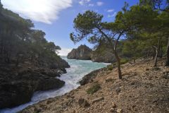 20231103133242__A742978-Wanderung-Mallorca-Cala-Fornells-Gx0