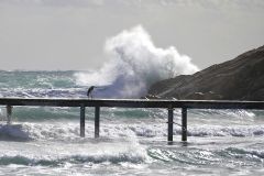 20231103154051__A743027-Mallorca-Peguera-Gx0