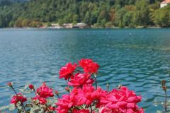 20250815133038_DSC07544-Fahrradtour-Slowenien-Bledersee-_Gx0
