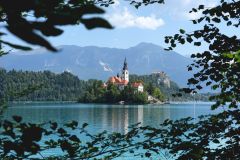 20250816114607_DSC07644