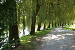 20250819114011_DSC07841-Fahrradtour-Slowenien-Ljubljana-Ljubljanica_Gx0