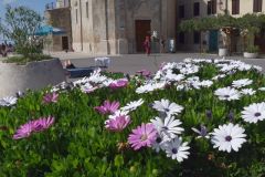 20250823152444_DSC08225-Fahrradtour-Slowenien-Piran-_Gx0