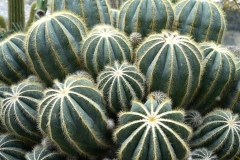 20240622120343__A747746