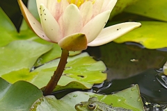 20240622122255__A747776