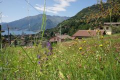 20210823125759-Sommerurlaub-Vercana-