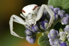 20230903232207__A741615-Gx0