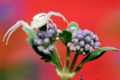 20230903232346__A741619-Gx0