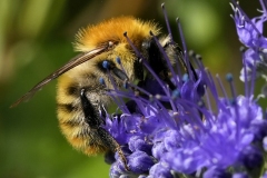 20230903232827__A741636-Gx0