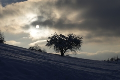 20231203160137__A743475-