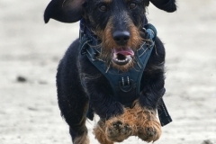 20240331162800_A745224-Gx1