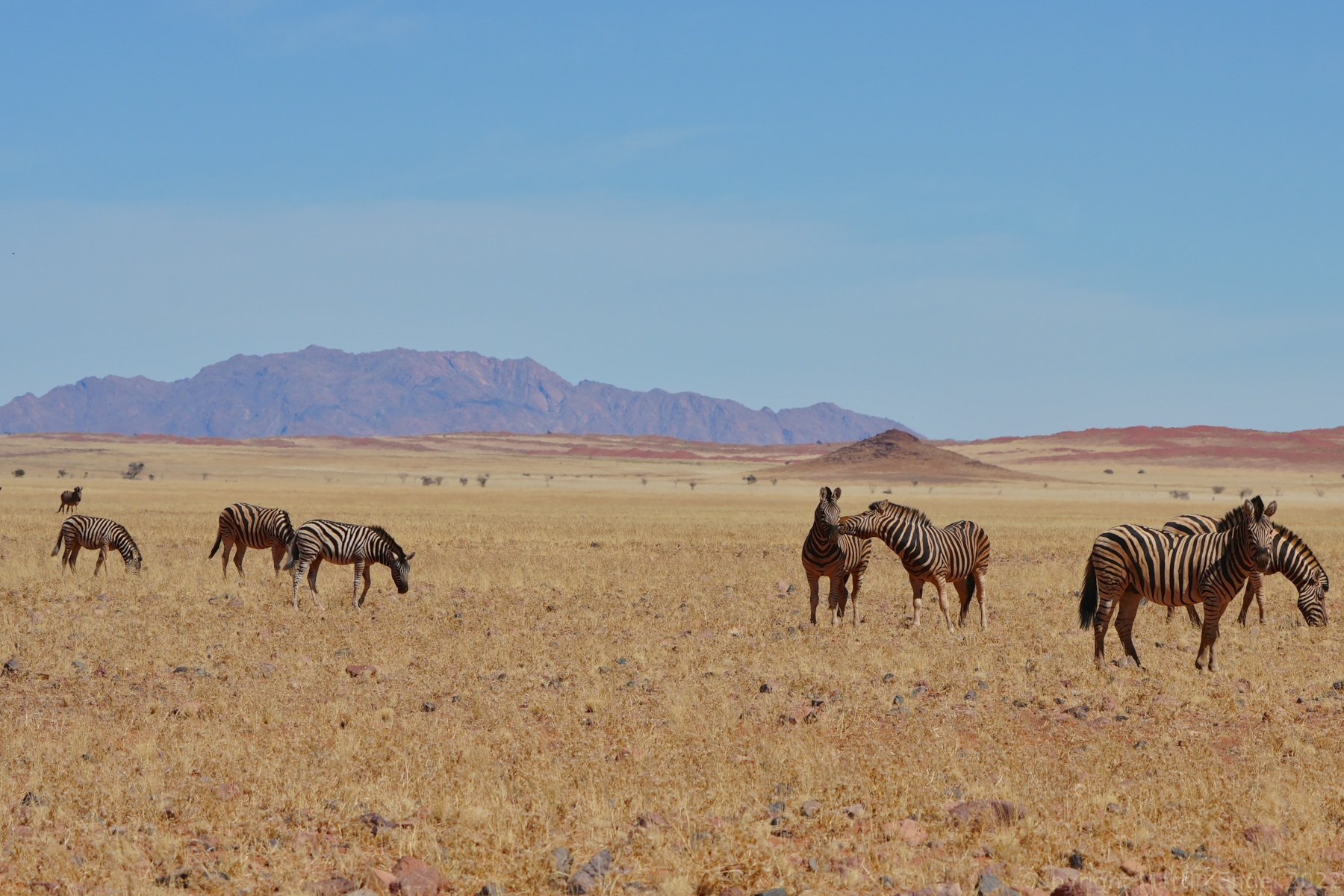 Namibia-20220813-Tirasberge nach Sesriem.JPG